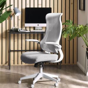 Afton Mesh Fabric Home And Office Chair In Grey