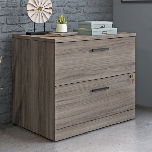 Aberdare Wooden Office Cabinet With 2 Drawers In Hudson Elm